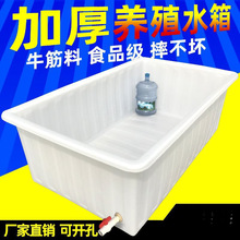 加厚牛筋塑料水箱长方形大容量储水桶养鱼箱带排水产养殖箱牛筋盆