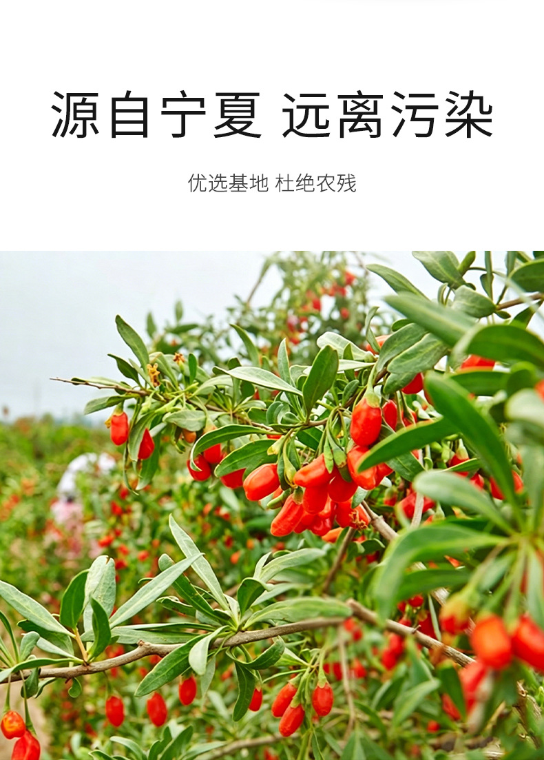 Dried Goji Berries Ningxia Gou Qi Zi Ready to Use Large Grade 500g for Tea key features