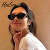 Trend retro sunglasses suitable for men and women hip-hop style, internet celebrity, European style