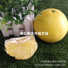 �S����������������̨��ˮ�������ְ���������ľ���Ե����ĵ�����