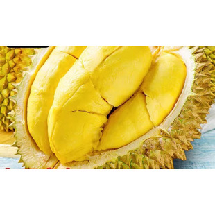 ̩��������ɏ���rˮ��10��һ����������S���]����������ɏ��