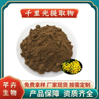 千里光提取物 水溶千里光粉 九里明/千里急提取物 1KG起现货包邮