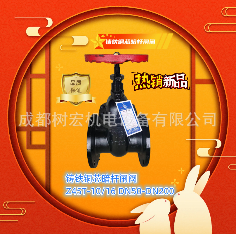 现货供应铸铁铜芯闸阀 暗杆闸阀 法兰闸阀Z45T-10/16 DN50-DN200