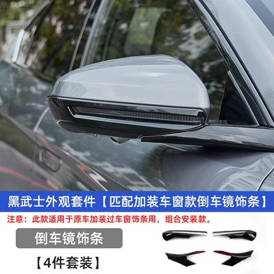 Automobile anti-insect net | Accessories - han-blackening-kit-matching-with-window-reversing-mirror-trim