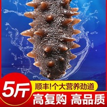 ���B������ʳ���r��ɺ��B�|�����؛Ұ������500g�؃r��Ş�b��