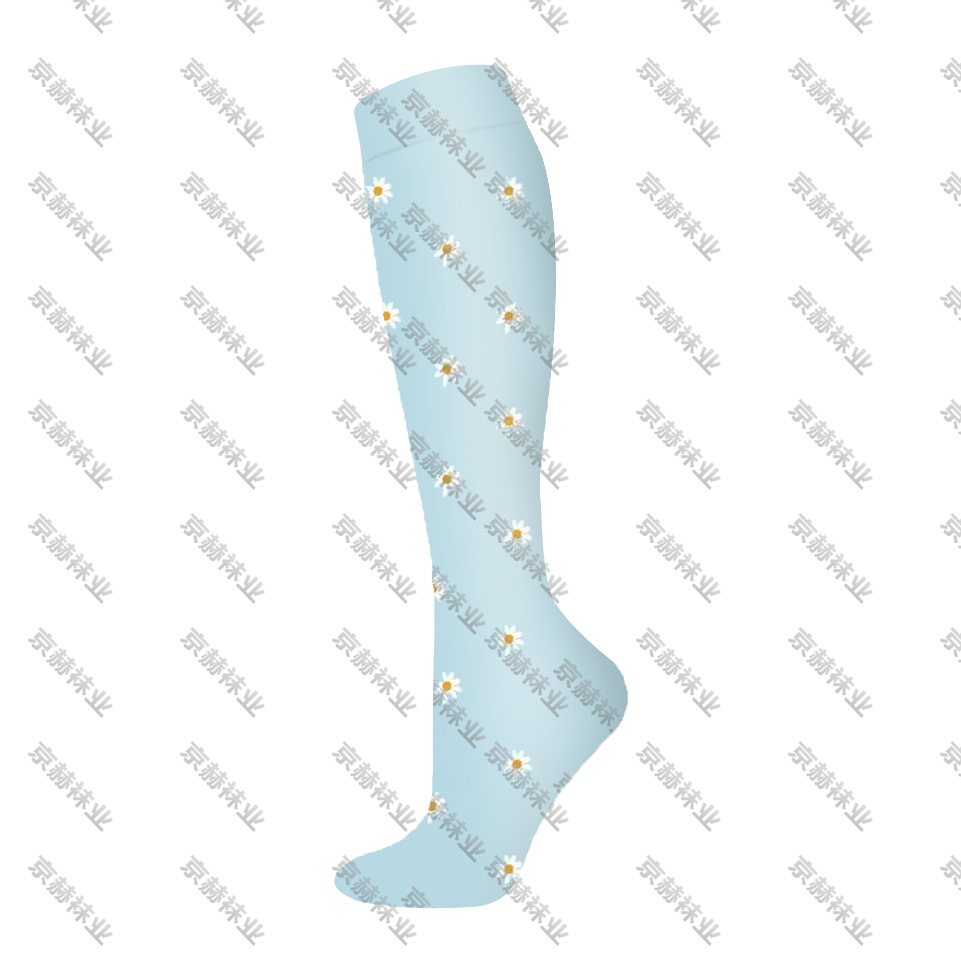 해바라기 시리즈 6