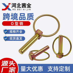 O�ͭh���N���U�N�r�Cú�V�i�N�����N��λ�N���h�N�A�h�N��ȫ�N