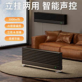 挂墙落地两用取暖器石墨烯全屋速暖家用电热新款跨境铝合金电暖器