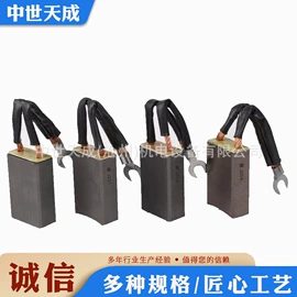 碳刷、电刷;电动机配件
