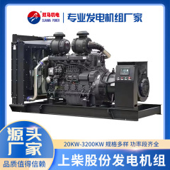 250千瓦柴油发电机 上柴发电机价格 柴油发电机 250KW玉柴发电机