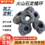 固定种植红色底座石子