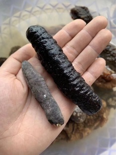 65-110�^�ڞ���������؛500g���������Ⅲ������Ǽ�ʳ����