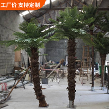仿真椰子树商场大型假椰树 葵树绿植室内装饰热带植物 仿真棕榈树