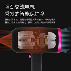 Permanent Day Hydrating Ion Hair Dryer for Pregnant Women and Babies, Children, Low Radiation, 2100W High Power Salon Hair Dryer