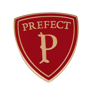Red Long logo brooch magic College merit badge