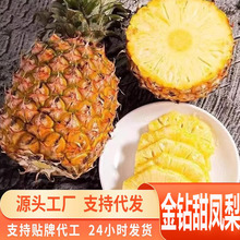 Դ�^һ�����l����P�澫�x�����쮔���Ꭷ���rˮ���ǲ��}����P��