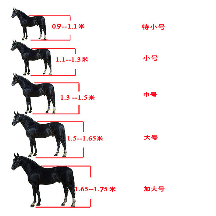 尺寸.jpg?x-oss-process=image/format,png