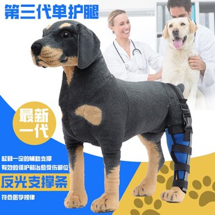Cross-Border Pet Leg Protection Gear, Post-Operative Pet Dog Correction Sheath, Auxiliary Walking Dog Leg Protection Sheath, Injury Protection Sheath