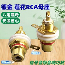 �˽���ĸñ�z���Ӿ��D�Q���l����t��僽�ɏ��RCA���^����ĸ��