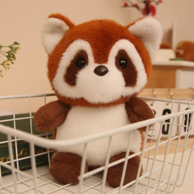 Brown raccoon