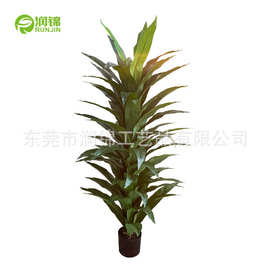 仿真大叶巴西铁树巴西木人造香龙血树盆栽ins北欧客厅绿植大巴西