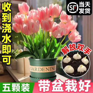 ˮ���������N�򻨷N�ӻ������ԾGֲ���҃Ȱٺ��r�����B���L����