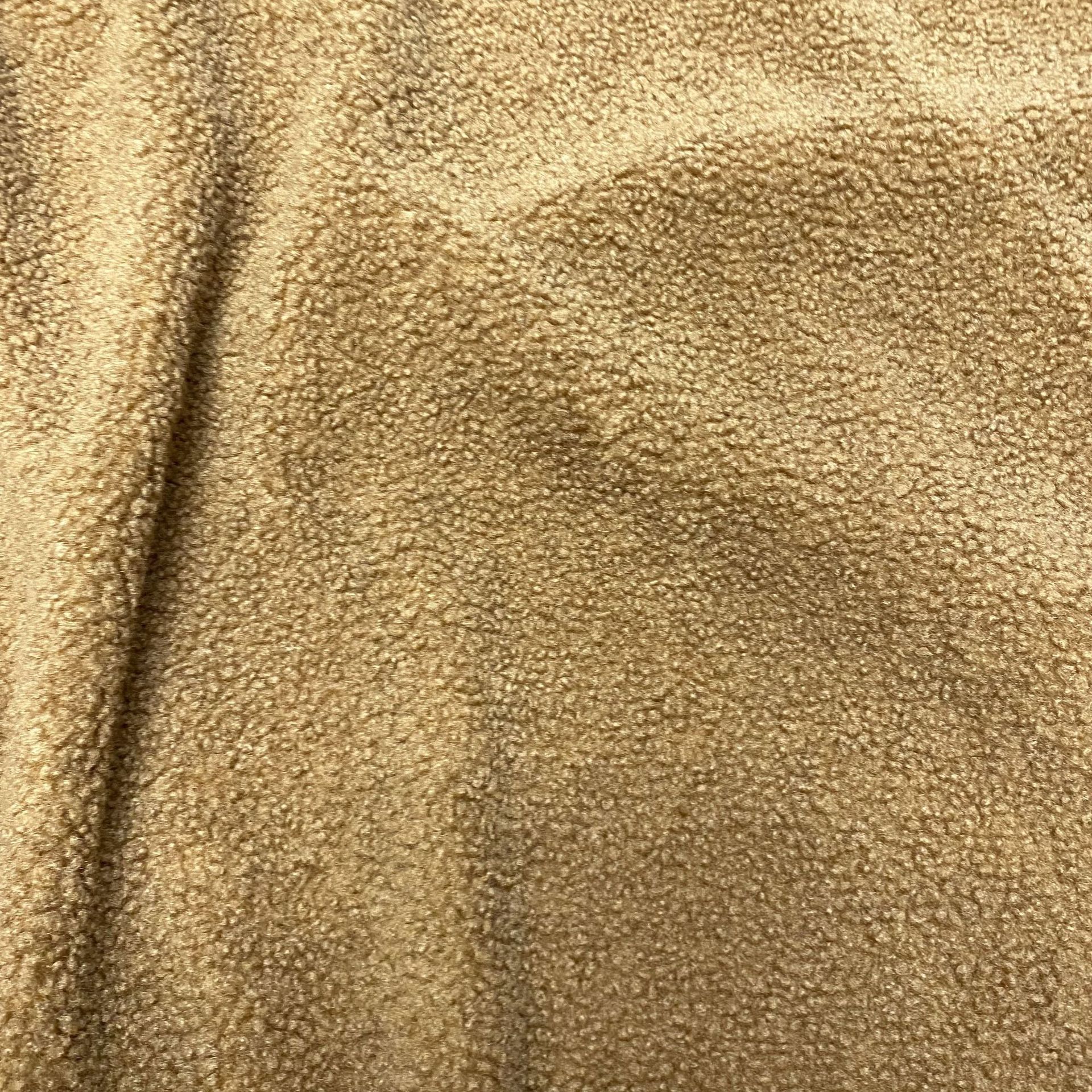 现货 颗粒羊绒 阿尔泰羊羔绒 泰迪绒羊毛粒 时装玩具鞋材绒布面料