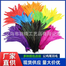 �S�����l25-30cmÓɫ�uβë���uβ��ë��ɫ��ë��̨���b�����o��