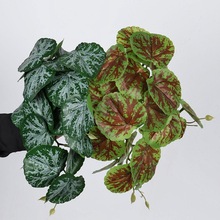 �����ﺣ����ü�~�����~ֲ��پGֲ�쾰��������΢���^�b��~��