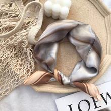 ֪L~ |zСɣQzƴɫzŮoiٴ