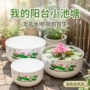 加厚无孔植物水养盆