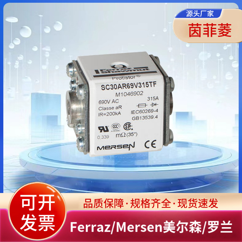 SC33AR69V14CTIU X1047095 SC33AR69V15CTIU Y1047096罗兰熔断器