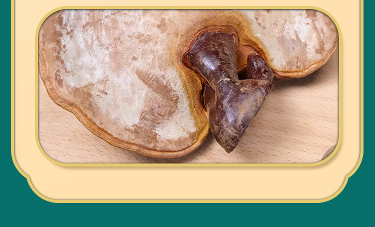 Whole Reishi Mushroom Dried Red Lingzhi Log-Grown 500g Bag for Soup and Decoction key features