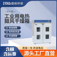 LY-IG系列工业用电热鼓风干燥箱 路扬环保 工业干燥箱