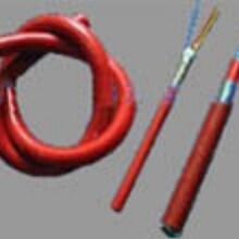 �S���N��늾���| �طN��|YGCP�߿��������z��|