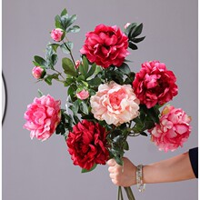 ����ʽĵ�����滨��Ҿӿ����ڼ�����װ�γ��������յ�������
