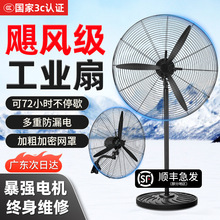 ���I�u�^��L�ȏ����������ţ���ȴ��L�����ʽ����ȩ���S����