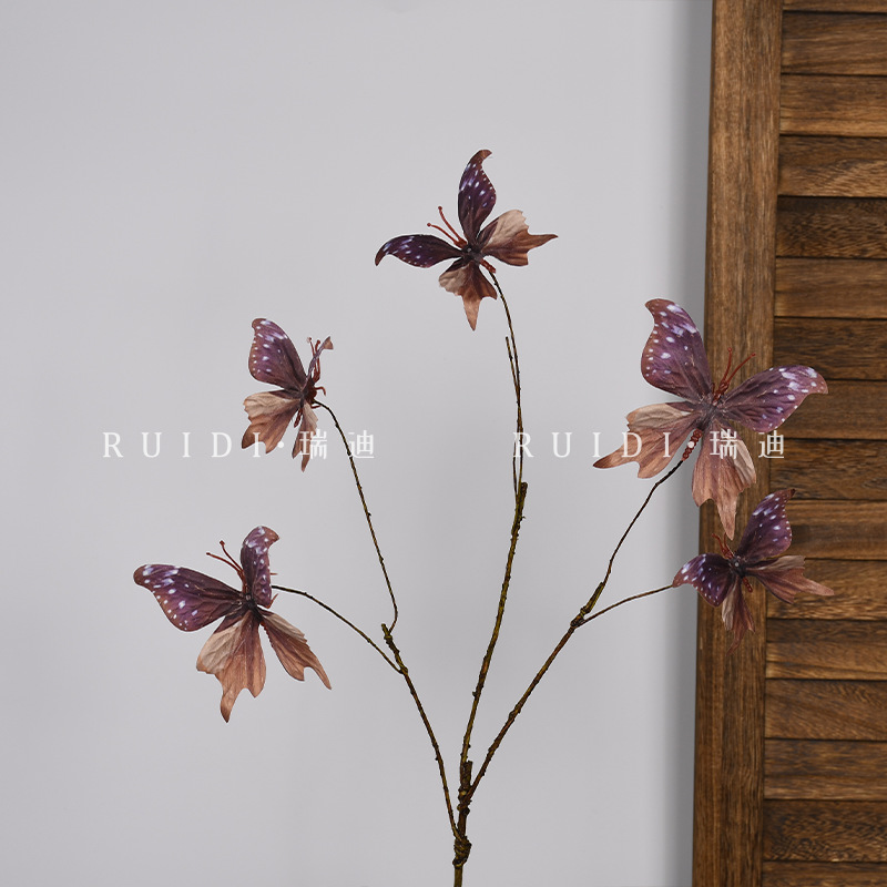 아스파랑나비-커피-YX