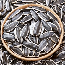 ؛363ԭζӃɹԭζӿѴwӳ