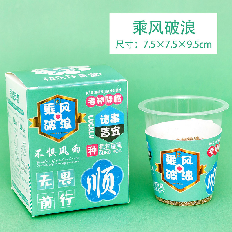 励志文字种植盆栽盲盒小学生创意小礼品儿童桌面植物绿植小摆件|undefined