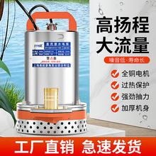 壹玖捌捌直流潜水泵12V24V48V60V电瓶车家用小型灌溉农用抽水机泵