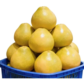 块茎类;其他水果;梨