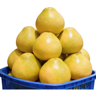 �V�|÷�����֑�����ˮ���������־������b���]ˮ������һ�����l