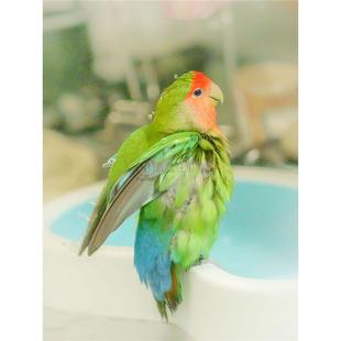 ��ɫĵ���r�B���B����ɐ��H�˻������B�H�˕��fԒ������ι�B