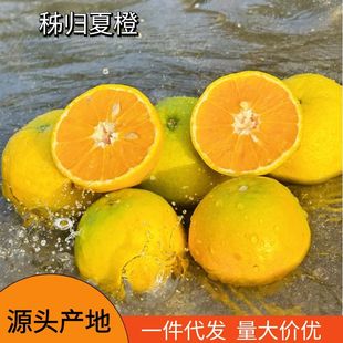 ���w�ĳȴ���Fժ���r���ӹ��@�Fժ������֭�ŷ���Ě��ե֭ˮ��