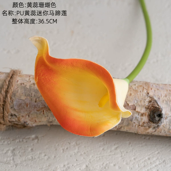 Huang Rui coral color