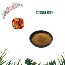 �����R˹���� ɳ������ ɳ�����ط� ˮ���Է�ĩ 2kg���� �F؛