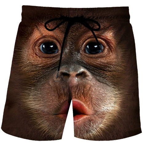 2024 Летние мужские пляжные шорты животных маленькая желтая утка принт с обеих сторон карманы повседневные трансграничные шорты носить на улице