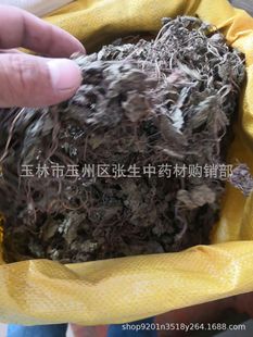 ���l�a�� ����� ɢ�b ���~ɏ ��؛�����~ ɢ�b��؛500��