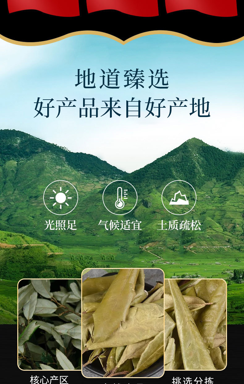 Hu Tui Zi Ye (Elaeagnus pungens Leaf) — Dried TCM Herb Leaf, 500g key features